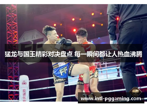 猛龙与国王精彩对决盘点 每一瞬间都让人热血沸腾